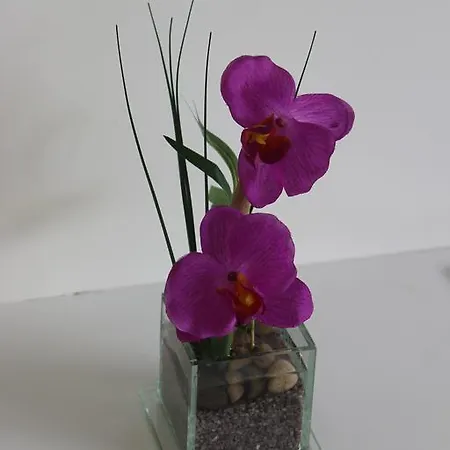 Casa Camelias - Family By The Lagoon 度假居 七城